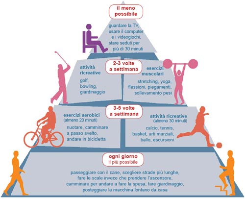 Piramide dell'attivit fisica